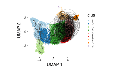 Linsley Lab Research Project Preview - Exhausted CD8+ T Cell