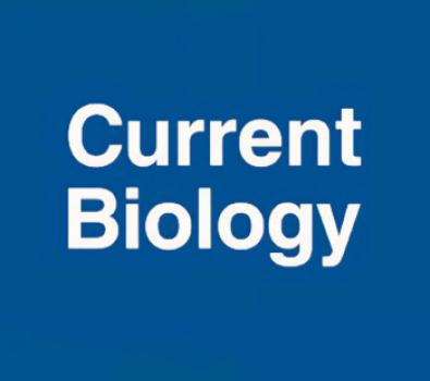 News Main Image - Current Biology