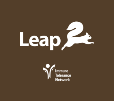 News Main Image - Leap ITN